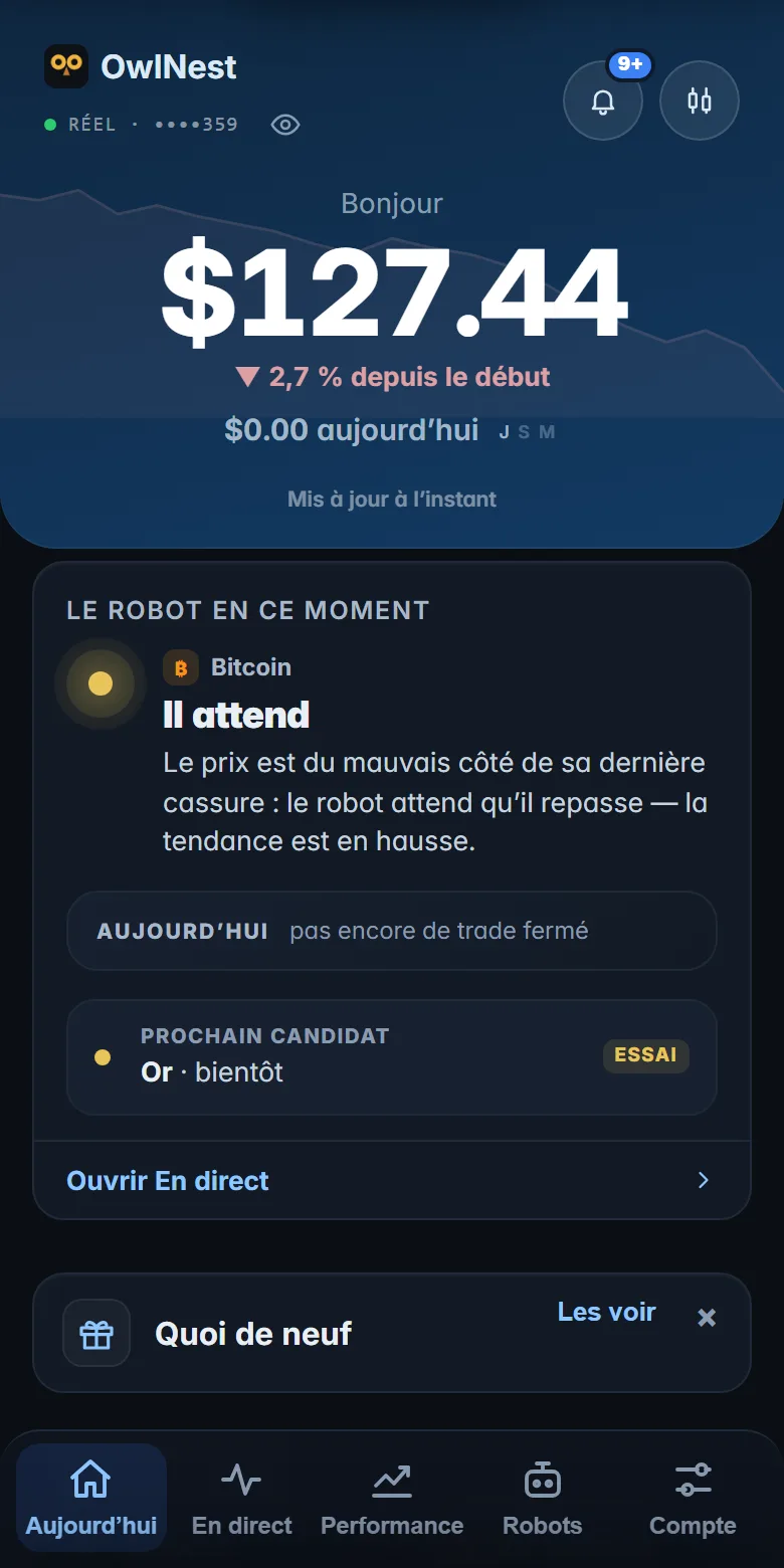 Accueil OwlNest : solde et journ&eacute;e
