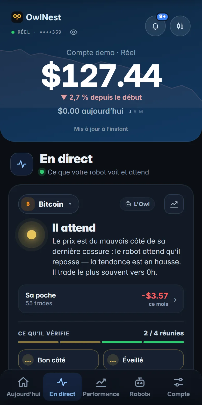 March&eacute; : ce que le robot voit